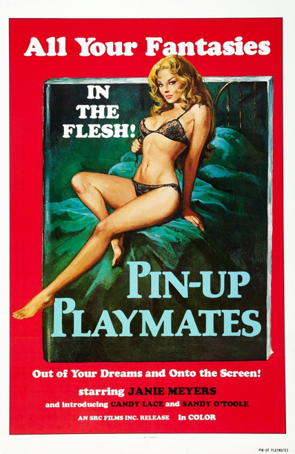 Pin-Up Playmates Us Poster Janie Meyers 1972 Movie Poster Masterprint - Item # VAREVCMCDPIPLEC003H