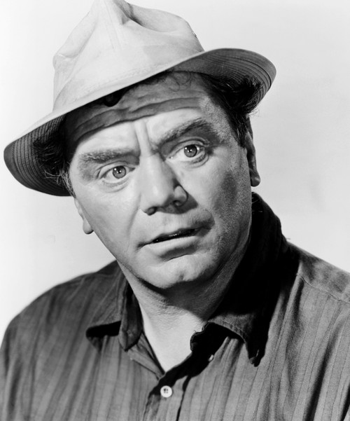 The Flight Of The Phoenix Ernest Borgnine 1965 Tm & Copyright ??20Th Century Fox Film Corp./Courtesy Everett Collection Photo Print - Item # VAREVCMBDFLOFFE015H