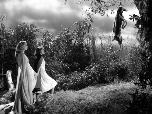 I Walked With A Zombie Christine Gordon Frances Dee 1943 Photo Print - Item # VAREVCMBDIWALEC002H