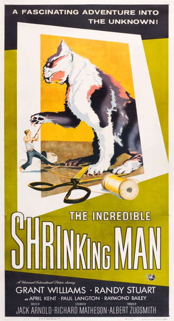 The Incredible Shrinking Man Us Poster Art 1957. Movie Poster Masterprint - Item # VAREVCMCDINSHEC004H