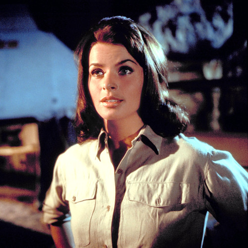 Cast A Giant Shadow Senta Berger 1966 Photo Print - Item # VAREVCMCDCAAGEC002H