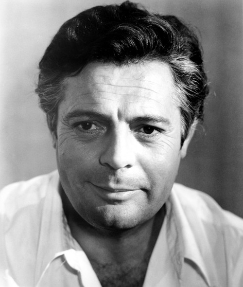Sunflower Marcello Mastroianni 1970 Photo Print - Item # VAREVCMBDSUNFEC009H Sunflower Marcello Mastroianni 1970 Photo Print - Item # VAREVCMBDSUNFEC009H
