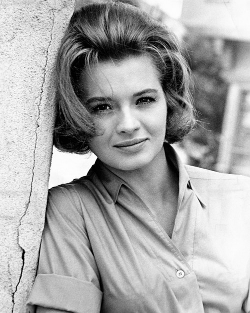 Angie Dickinson 1963 Photo Print - Item # VAREVCPBDANDIEC015H