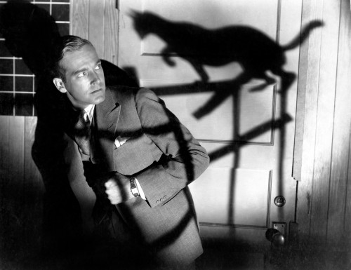 The Black Cat David Manners 1934 Photo Print - Item # VAREVCMBDBLCAEC034H