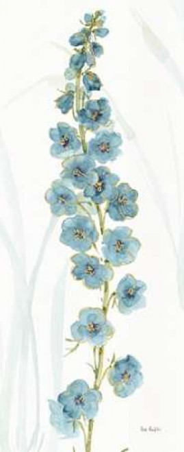 Rainbow Seeds Flowers VI Poster Print by Audit Lisa - Item # VARPDX22227