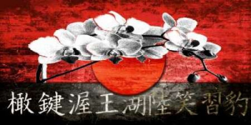 Lotus Flower 12 Poster Print by  Adamsky - Item # VARPDXADKY008
