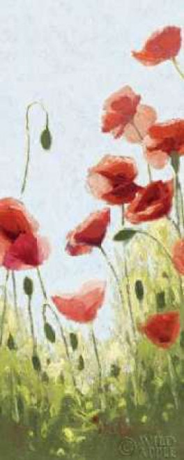 Mountain Poppies II - Wag Poster Print by Shirley Novak - Item # VARPDX4728