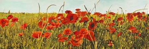 Poppy Field Poster Print by Luca Villa - Item # VARPDX4LC503