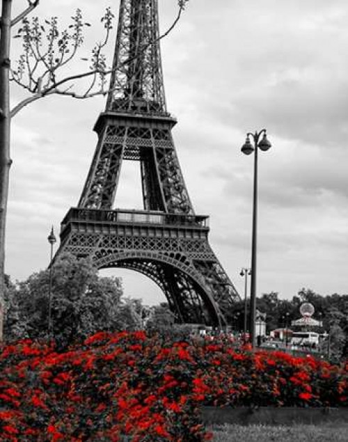 Eiffel Tower with Red Pop Poster Print by Emily Navas - Item # VARPDX9464T
