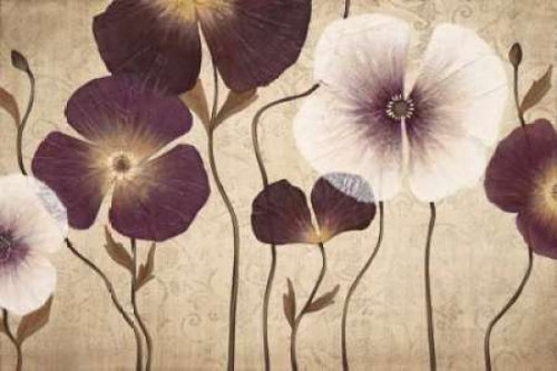 Damsels Poster Print by  MAJA - Item # VARPDXMPP133
