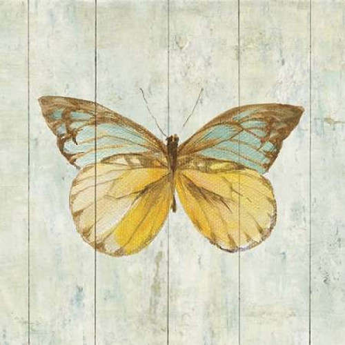 Natural Flora VIII Poster Print by Danhui Nai - Item # VARPDX23170