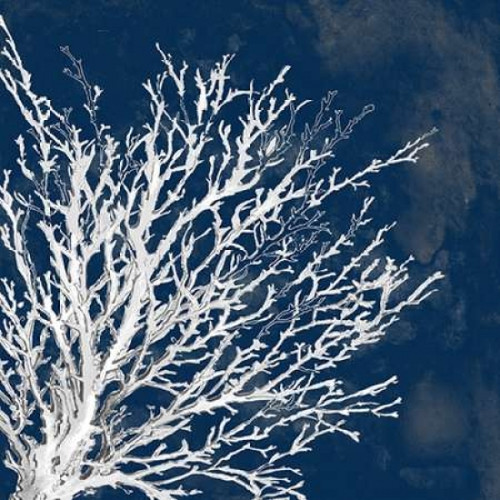 Coastal Coral II Poster Print by Lanie Loreth - Item # VARPDX8599L