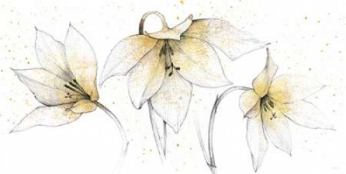 Gilded Graphite Floral Trio Poster Print by Avery Tillmon - Item # VARPDX18662