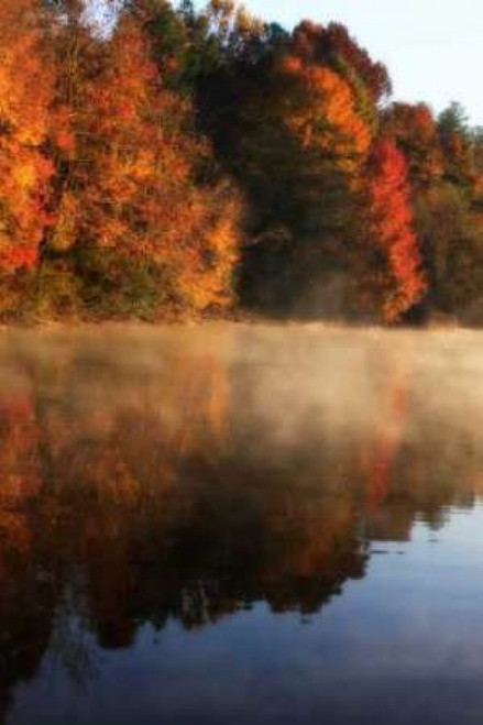 Autumn Mist I Poster Print by Alan Hausenflock - Item # VARPDXPSHSF959