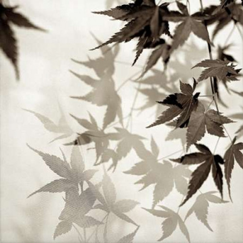Florison - 57 Poster Print by Alan Blaustein