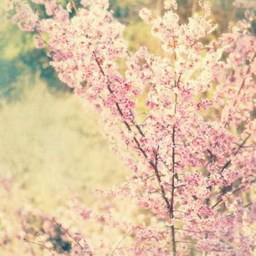 Oh To Be a Bumblebee No. 2 Poster Print by Myan Soffia - Item # VARPDXS1072D