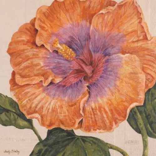 Island Hibiscus II Poster Print by Judy Shelby