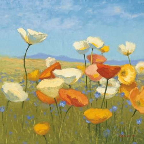 Springtime Meadow I Poster Print by Shirley Novak - Item # VARPDX8198