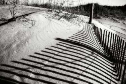 Dunes Fence III Poster Print by Alan Hausenflock - Item # VARPDXPSHSF1208