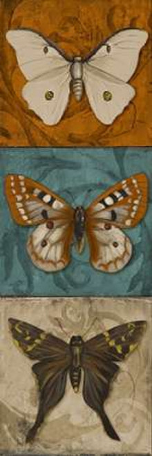 Blue Wings II Poster Print by Patricia Pinto - Item # VARPDX8301D