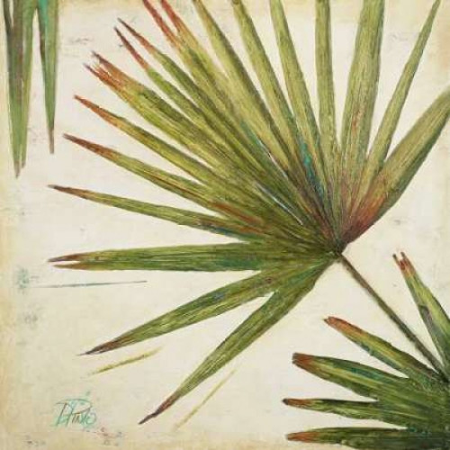 Organic II Poster Print by Patricia Pinto - Item # VARPDX6787