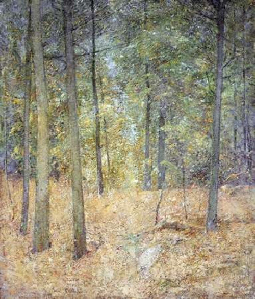 A Light In The Forest Poster Print by  Soren Emil Carlsen - Item # VARPDX267821
