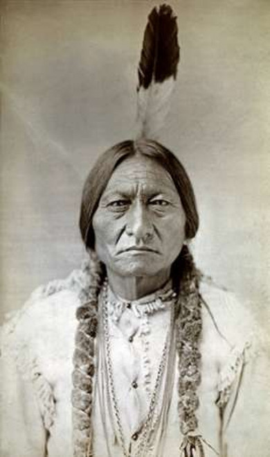 Sitting Bull Poster Print by  D.F. Barry - Item # VARPDX276672