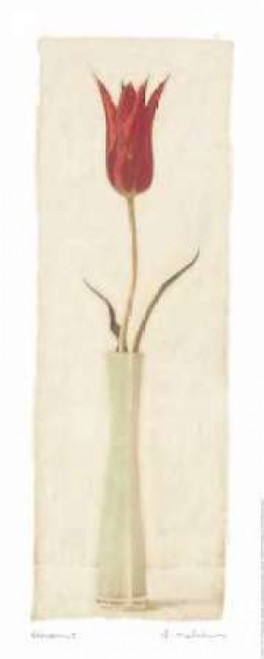 Blossom I Poster Print by Amy Melious - Item # VARPDXMEL191