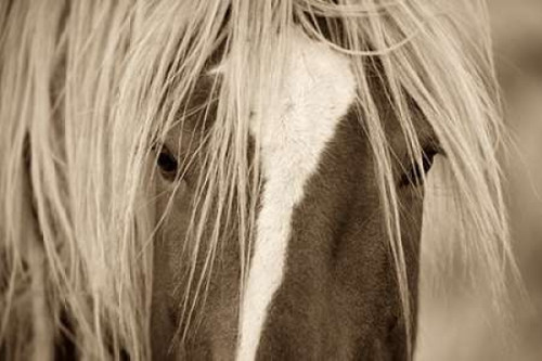 The Blonde Poster Print by Lisa Dearing