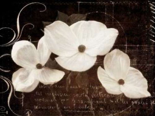 Garden Love Letter I Poster Print by Amy Melious - Item # VARPDXMEL339