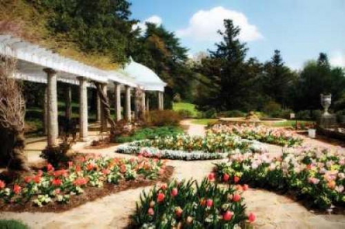 Spring Formality I Poster Print by Alan Hausenflock - Item # VARPDXPSHSF1127