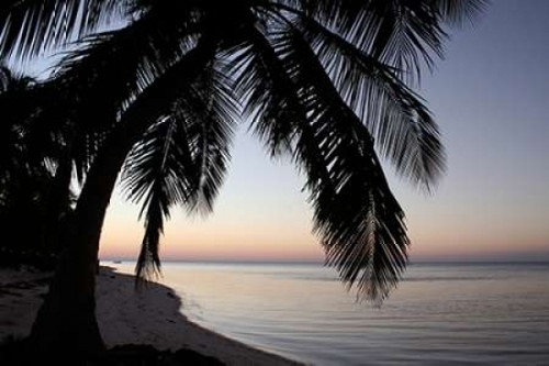 Palm Tree Sunset Poster Print by Brent Anderson - Item # VARPDXA371D