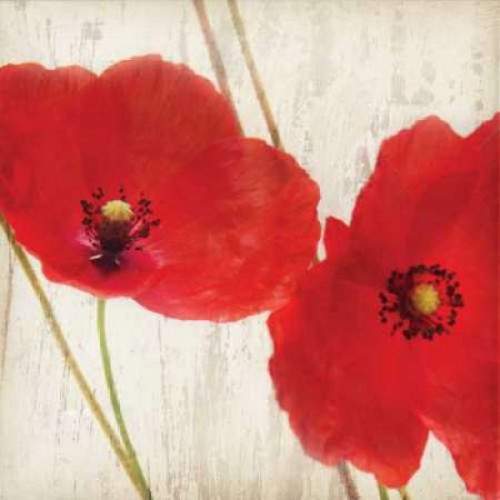 Red III Poster Print by Amy Melious - Item # VARPDXMEL400
