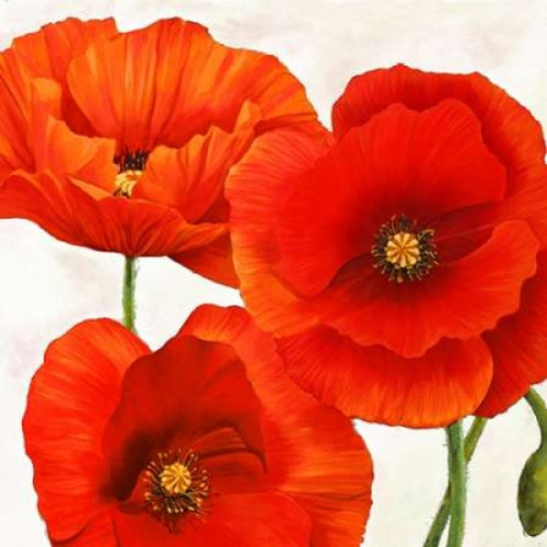 Poppies I Poster Print by Luca Villa - Item # VARPDX1LC1781
