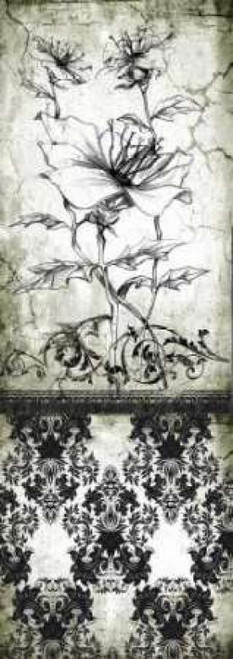 Rose Vintage II A Poster Print by Susan P. Willow - Item # VARPDXSPW013