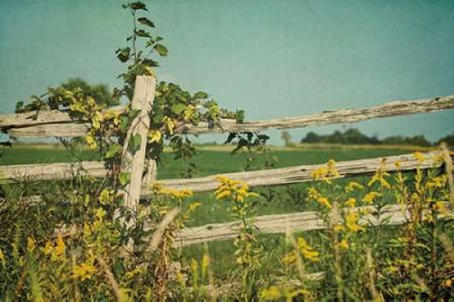 Blissful Country V Poster Print by  Elizabeth Urquhart - Item # VARPDX23778