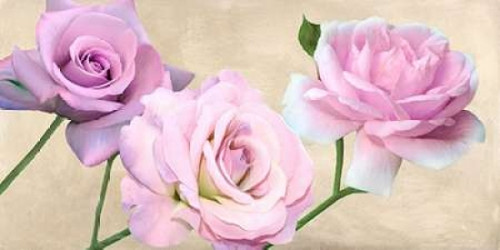 Rose classiche Poster Print by Serena Biffi - Item # VARPDX2SE3045