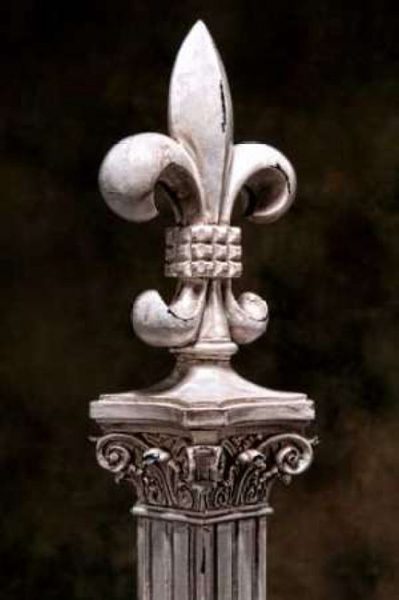 Fleur de Lis IV Poster Print by C. Thomas McNemar - Item # VARPDXPSMNR258