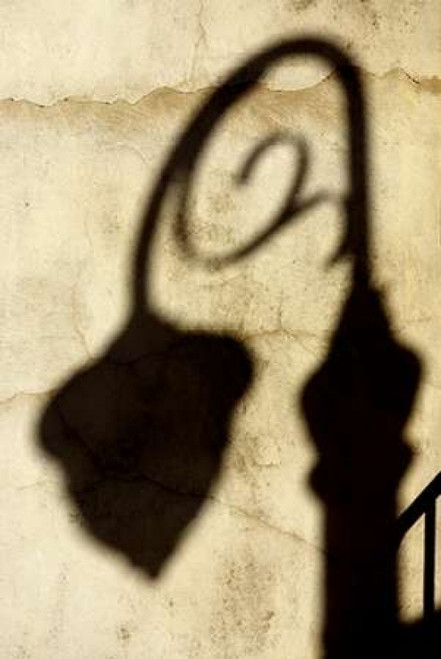 Shadow of Light Poster Print by Douglas Taylor - Item # VARPDXPSTLR505