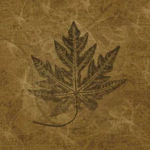 Leaves of Summer Poster Print by Janel Pahl - Item # VARPDXPLP114