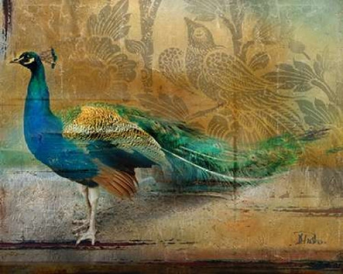 Feathered Dreams I Poster Print by Patricia Pinto - Item # VARPDX8733