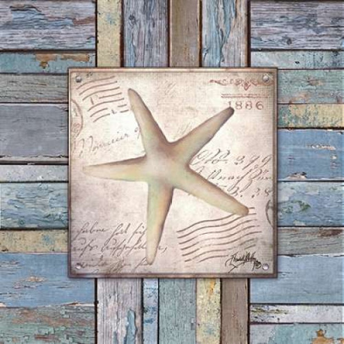 Beach Shell IV Poster Print by Elizabeth Medley - Item # VARPDX9342A