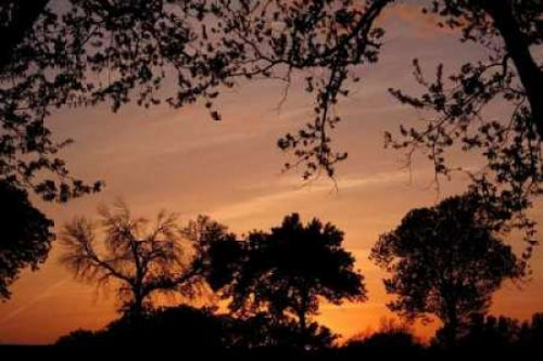 Unity Sunset Poster Print by Tammy Putman - Item # VARPDXPSPTM101