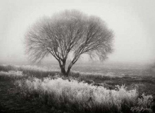 Tranquility I BandW Poster Print by Vitaly Geyman - Item # VARPDXPSVIT227