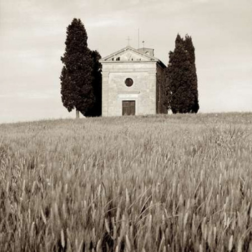 Tuscany - 9 Poster Print by Alan Blaustein - Item # VARPDXABIT660