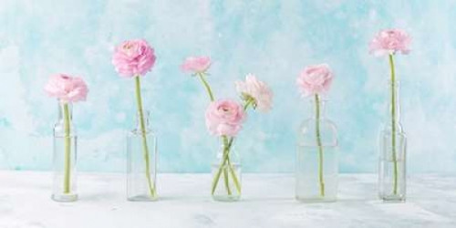 Ranuncuclus flowers in glass bottles Poster Print by  Assaf Frank - Item # VARPDXAF20160321131C02