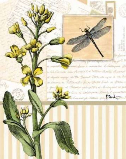Botanical Collage II Poster Print by Paul Brent
