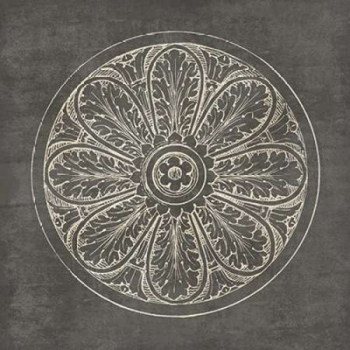 Rosette VIII Gray Poster Print by  Wild Apple Portfolio - Item # VARPDX21580