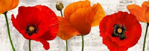 Summer Poppies Poster Print by Jenny Thomlinson - Item # VARPDX4JT2392