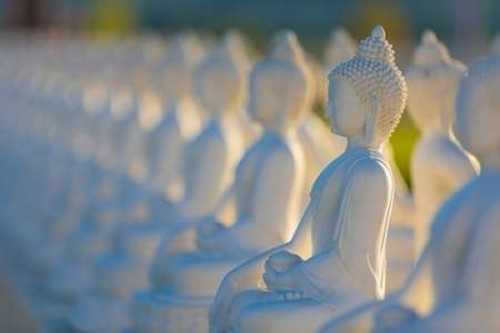 Garden of Buddahs II Poster Print by Kathy Mahan - Item # VARPDXPSMHN244 Garden of Buddahs II Poster Print by Kathy Mahan - Item # VARPDXPSMHN244